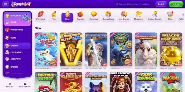 RoboCat Casino casino review section 2